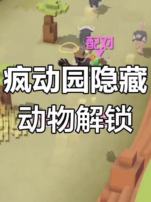 疯狂动物园里的丛林有什么隐藏动物