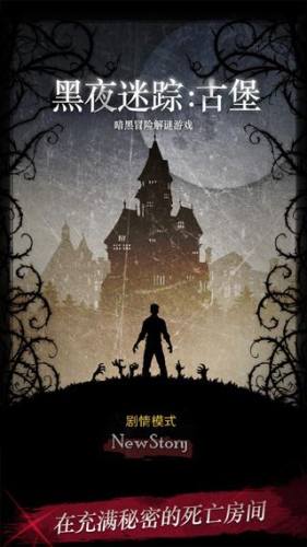 黑夜迷踪游戏截图1