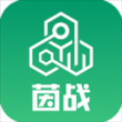茵战